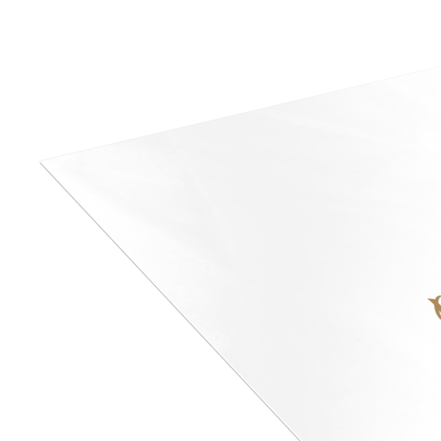 Happy Holidays Cat Fireplace Greeting Cards — Cozy Holiday Cards (Single or Multipack)